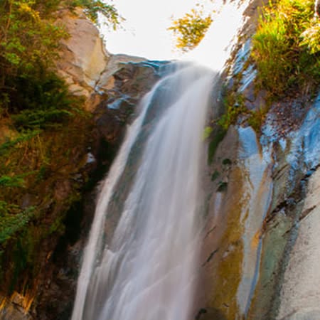 Kinect_Pro's tweet card. Kinect Pro (@kinect_pro) • Instagram photos and videos