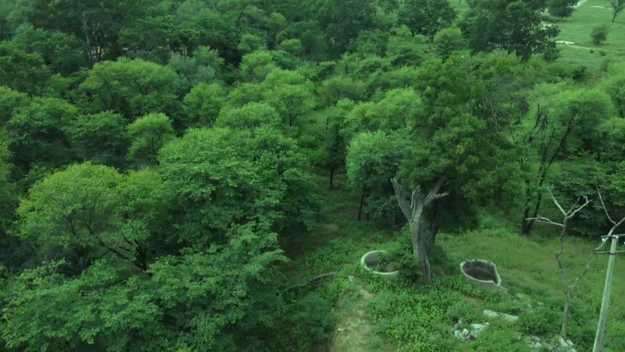 gitanshraj's tweet card. Save Jaipur's Forest from being DESTROYED for an Industrial Park!