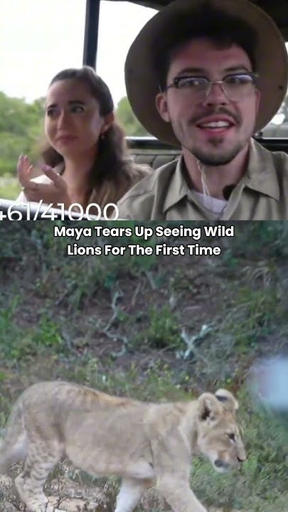 cheeqqy's tweet card. Taw #fazeadapt #mayahiga #faze #alveussanctuary