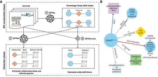 LabMutwil's tweet card. One of the core strengths of large language models (LLMs) is their ability to reason across vast amounts of text, enabling them to extract functional relat