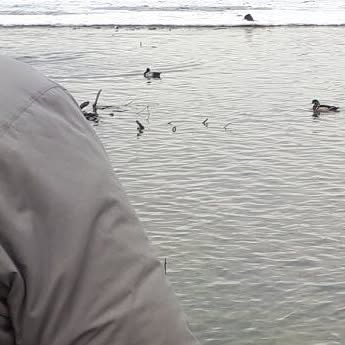 CTSProgram's tweet card. CTS Youth Society (@ctsyouthsociety) • Instagram photo