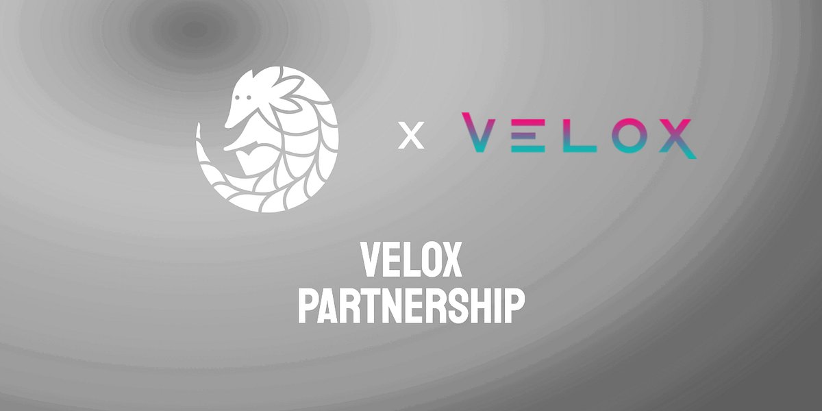 pangolindex's tweet card. The Pangolin team is happy to announce a partnership with the Velox Algorithmic Trading Bot on Avalanche! Offering instantaneous and…