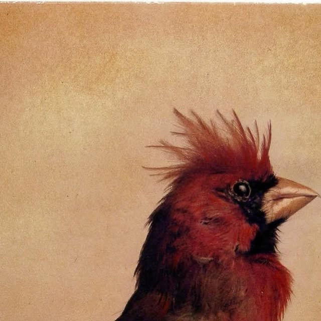 FTCatany's tweet card. box galerie - Alain D’Hooghe (@boxgalerie) • Instagram photo