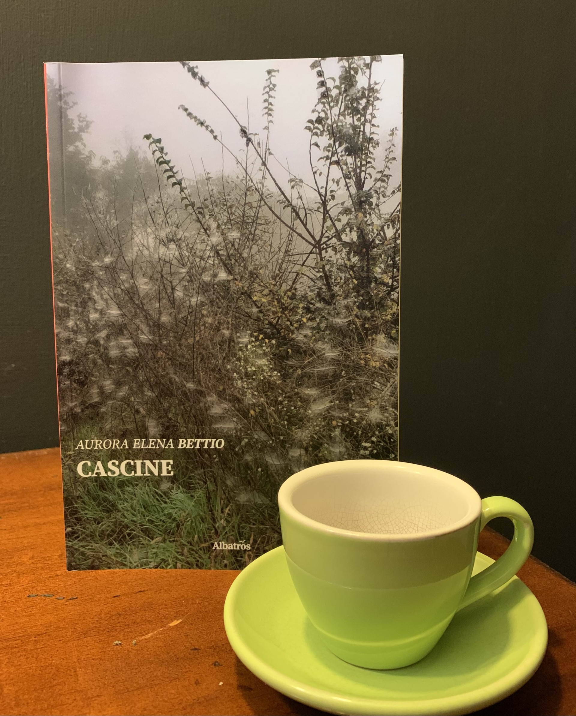 KCDC_official's tweet card. Cascine di Aurora Elena Bettio è edito da Gruppo Albatros Il filo e la prefazione è a cura di Barbara Alberti.