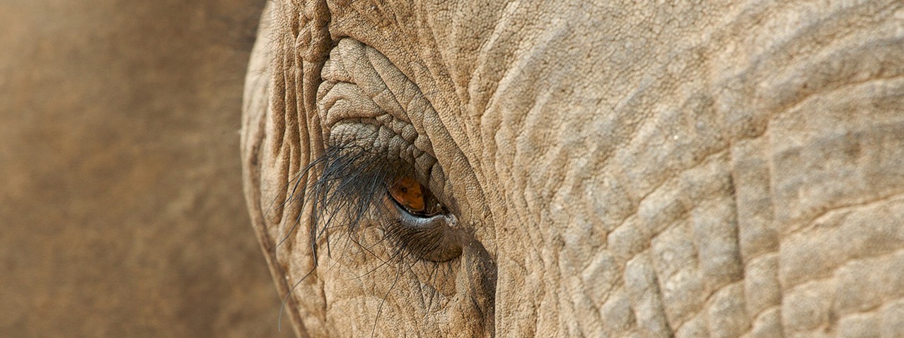 biconnections's tweet card. Gartner has declared Hadoop distributions 'obsolete' due to complexity. Sri Ambati, the CEO and co-founder of H2O.ai, said earlier this year that 'Hadoop is dead' Mike Seddon, Senior Data Engineer at...