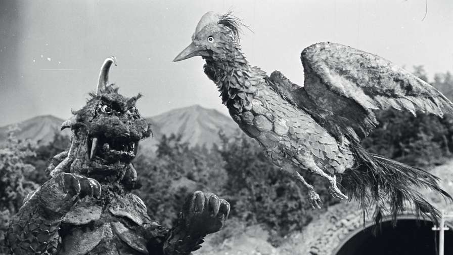 androidzaurus's tweet card. 第1話 「ゴメスを倒せ！」等、ABEMAではアニメ番組がたくさん！他にもニュースやオリジナルのドラマ、恋愛番組、アニメ、スポーツなど、多彩な番組を無料で24時間どこでも視聴できます。