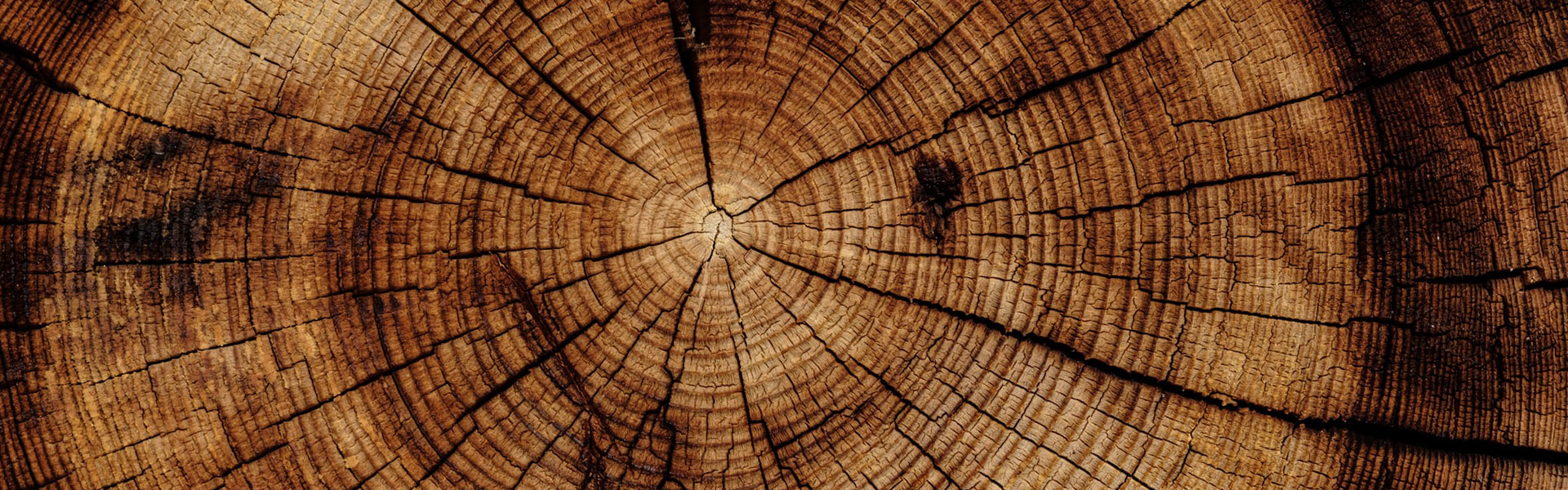 HELP_UBC's tweet card. Gathering insights from critical periods in children’s development, exploring individual, family, and community factors from a diversity of perspectives: parents, teachers and children themselves.