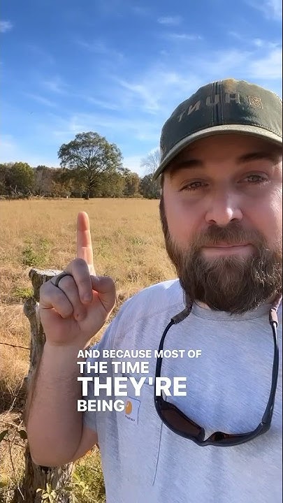 rscobe1920's tweet card. Save Local Legacy Trees!! #conservation #trees #legacytree #plantna...