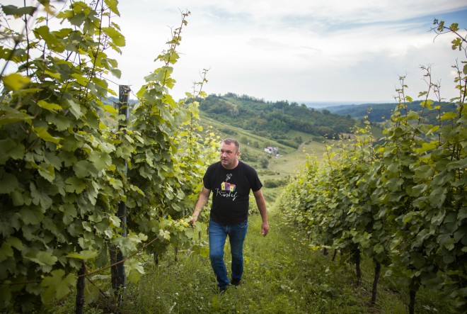 Profitiraj's tweet card. U mjestu Plešivica, na istoimenoj planini, više od 300 godina nalazi se i imanje obitelji Kurtalj.