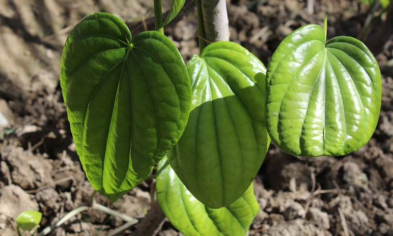 excel_in_levels's tweet card. سندھ کا یہ علاقہ کاروباری لحاظ سے بہت زرخیز ثابت ہورہا ہے، جس کی وجہ سے لوگوں کی معاشی حالت بھی کافی بہتر ہوگئی ہے۔