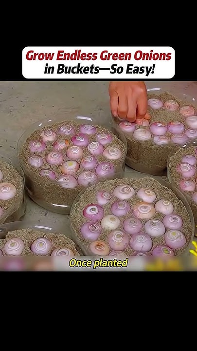 EmilySandstrom's tweet card. #handwork #Manufacturing #Build #Creativity #Repair #DIY #challenge...