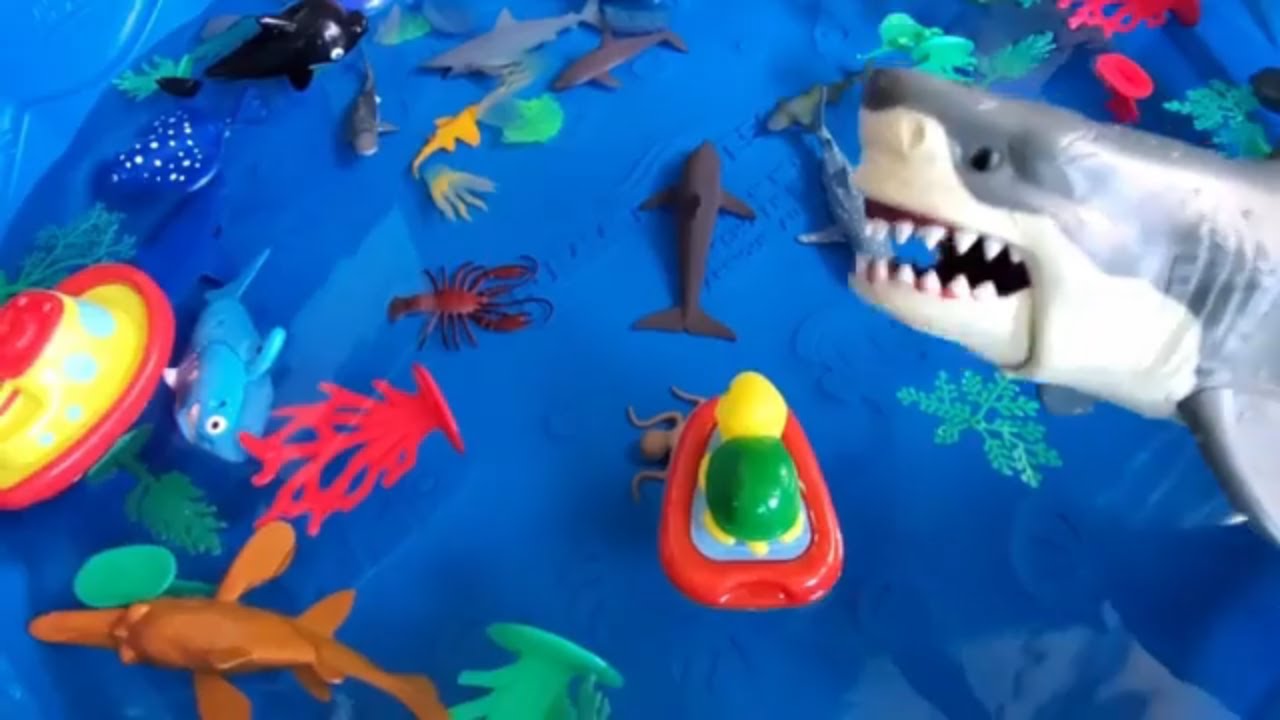 EasyLearning15's tweet card. Learn Sea Animals Names With Educational Toys