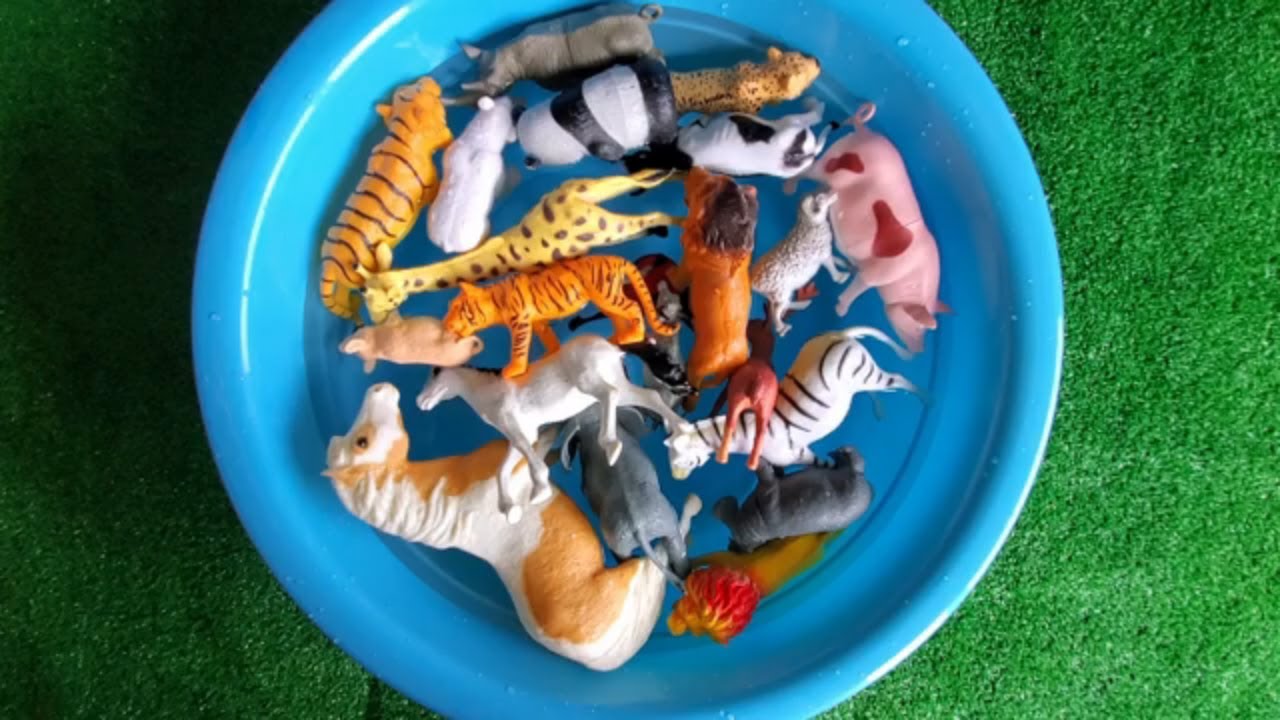 EasyLearning15's tweet card. Farm and wild Animals for kids to learn