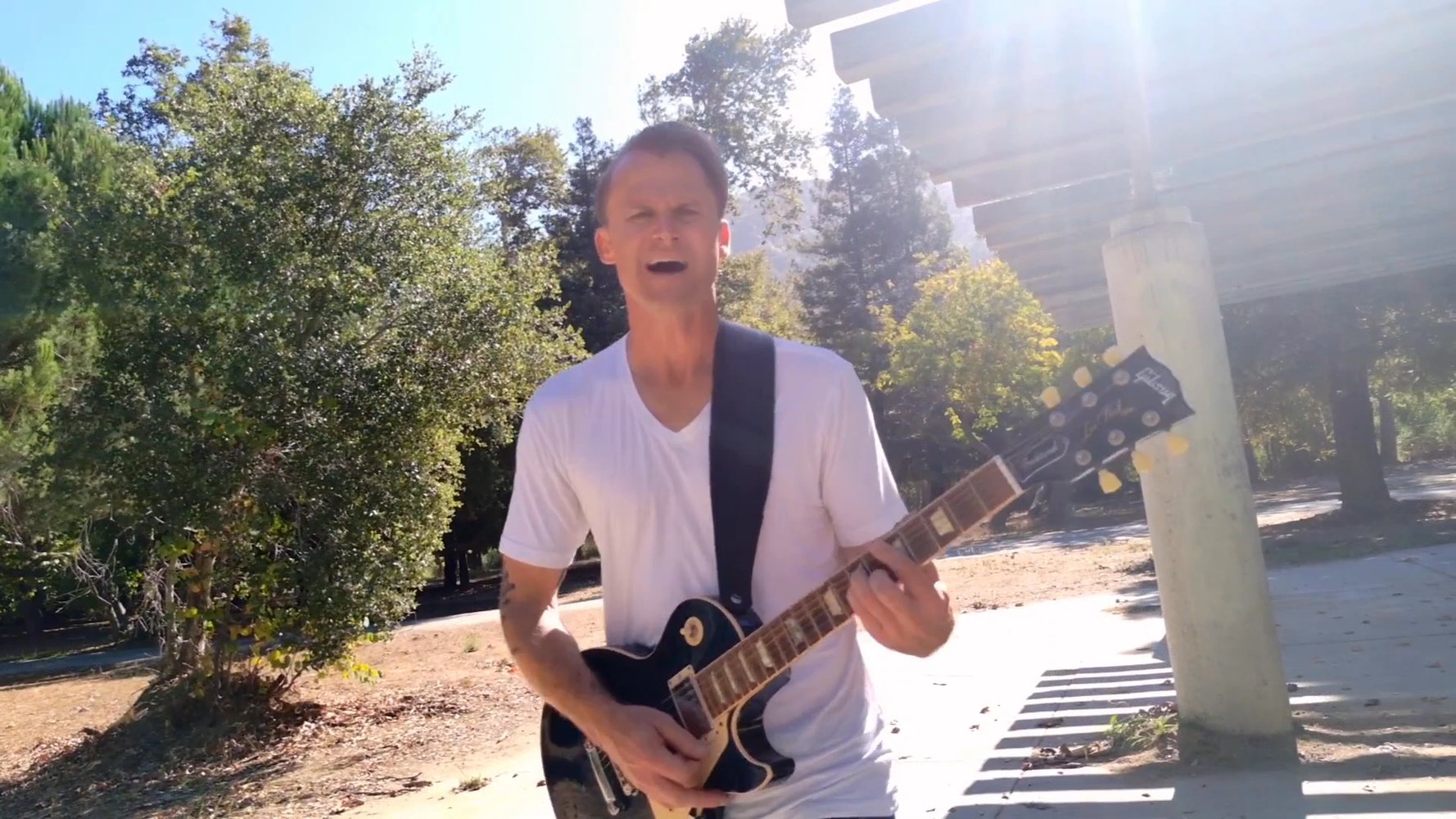 DgbBucci's tweet card. DistroVid