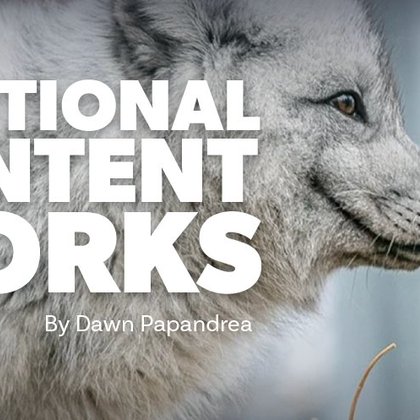 Tweet card summary image