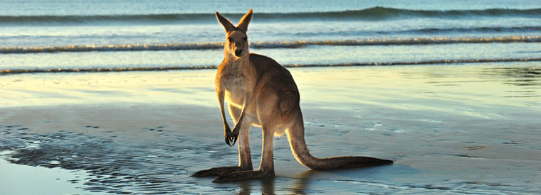 etherreview's tweet card. In many ways still a frontier nation, Australia’s style of innovation is practical and direct. Three of the startups covered in todays…