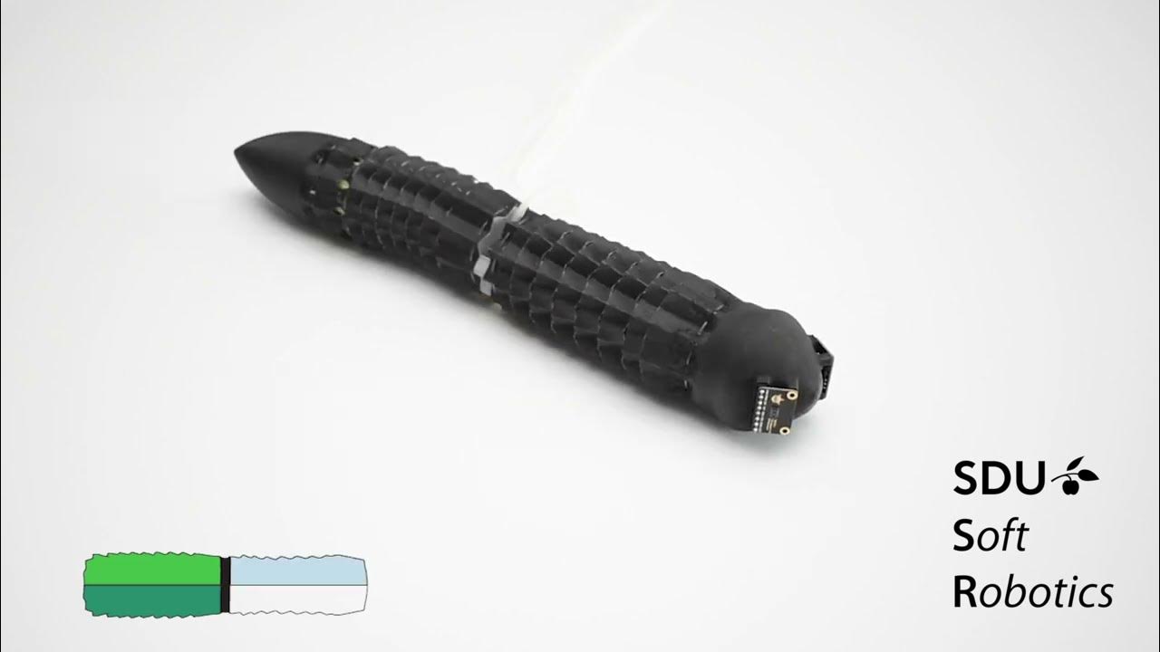 SDUSoftRobotics's tweet card. Multimodal Limbless Crawling Soft Robot with a Kirigami Skin | Cyborg...