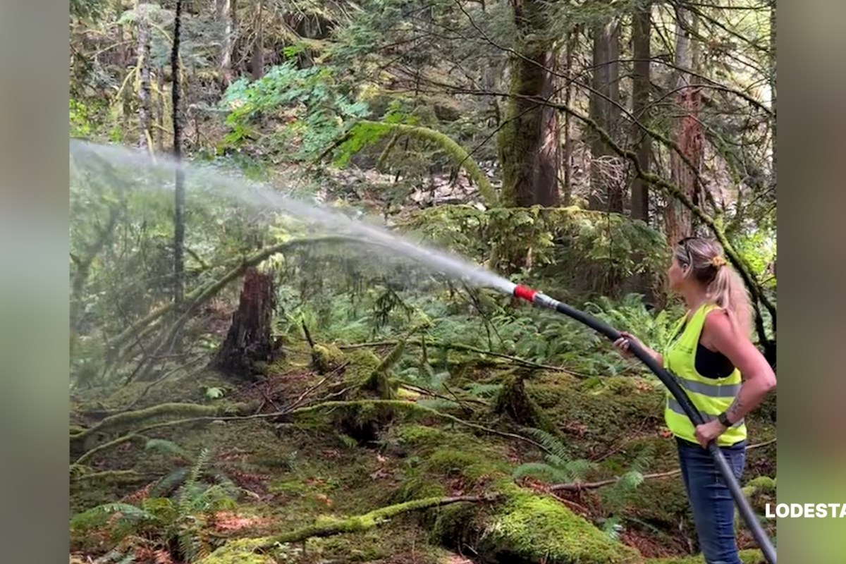squamishchief's tweet card. RCMP seek information on how the blaze started. The fire is believed to have been sparked around 4 p.m. on June 9, on a bike trail at the end of Tantalus Road.