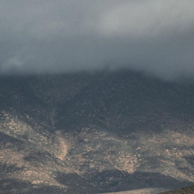 Cfitzpatrick98's tweet card. Connor Fitzpatrick OLY (@fitzpatrickc.98) • Instagram photos and videos