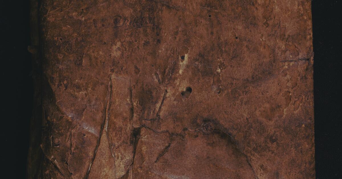 theULSpecColl's tweet card. This 15th-century English manuscript contains a collection of philosophical treatises, and medical tracts and recipes, largely