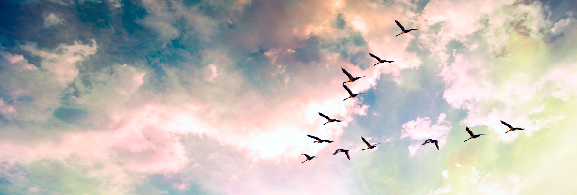 PregnancyLossIE's tweet card. Learn, Study and Research in UCC, Ireland's first 5 star university. Our tradition of independent thinking will prepare you for the world and the workplace in a vibrant, modern, green campus.