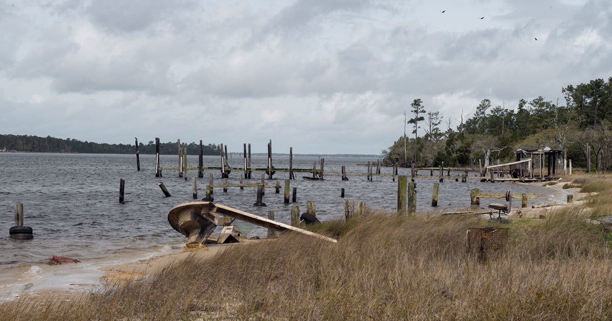 GullahProject's tweet card. Ten days after a story about black families losing their land, the USDA scheduled listening sessions to hear from people who have had trouble qualifying for federal programs because their land was...