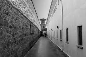 Spinoza_mind's tweet card. Kollarımı bileğimden çapraz yaparak tutuklandığımı haber veriyorum onlara..