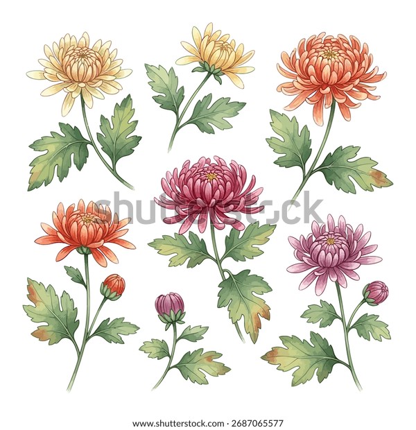 NNawyal46878's tweet card. Explore photos and images by Nasima_ Akter on Shutterstock. Discover their unique visuals for your projects.