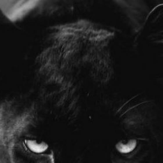 LearnLax's tweet card. Jason Sanders (@learnlax) • Instagram photo