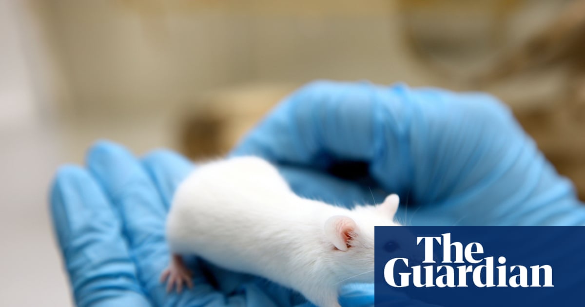 _arthwritethis's tweet card. Letters: Dr Robin Lovell-Badge and Prof Emma Robinson respond to an editorial on using new technologies to reduce the reliance on animal experiments