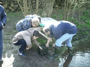 BvsEnTransition's tweet card. Samedi 19 mars 2022, sortie Nature « à la découverte de la MARE NATURELLE», Gîte du Paty à Buicourt 60380. Sortie familiale à la mare du Paty pour mieux comprendre l’écosystème d’une zone humide na…