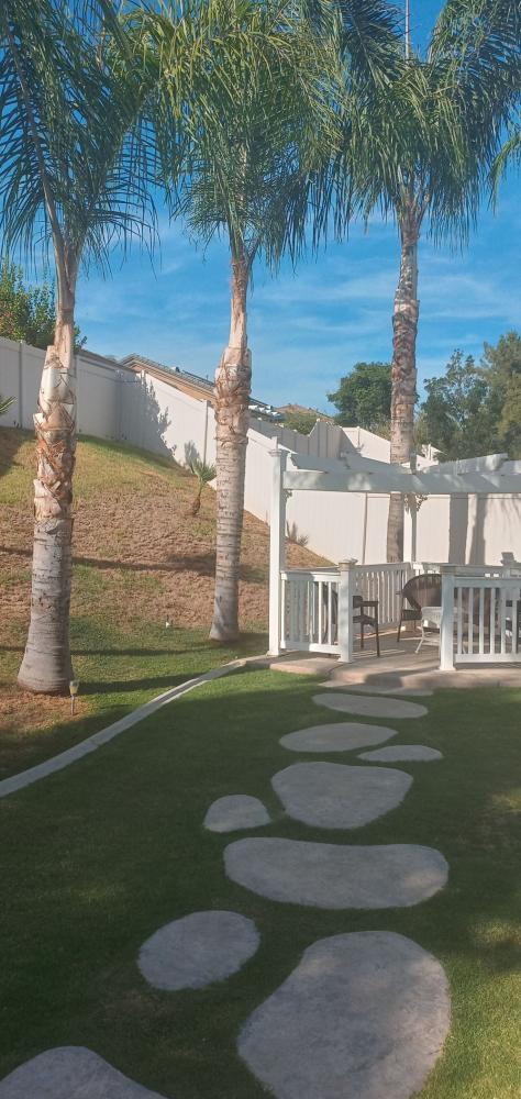 BakersfieldKern's tweet card. Tree service Bakersfield (661) 748-3332 I specialize in tree trimming, skin and trim queen palms, tree removal, and stump grinding.