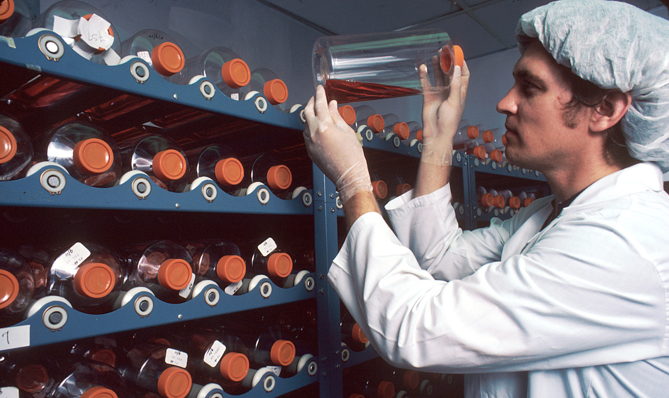 FactaNews's tweet card. […]