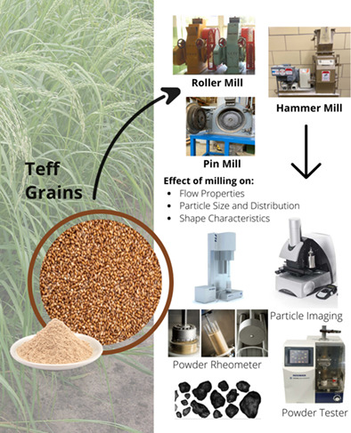 FreemanTech's tweet card. Ivory teff grains were milled in roller, pin, and hammer mills to determine the effect of milling methods on flow properties, particle size and distribution, and shape characteristics. Based on the...