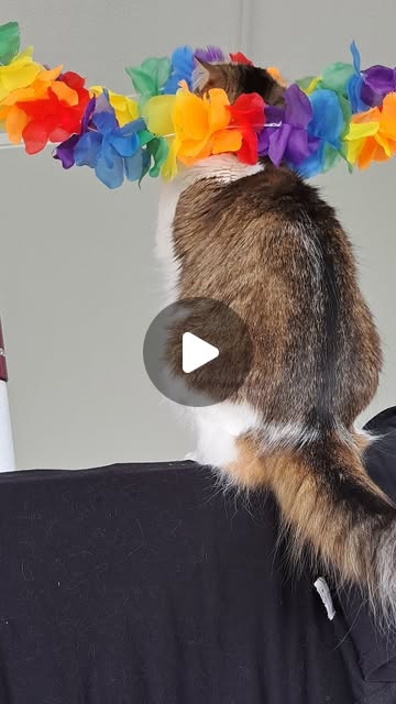 IsabelleJodin's tweet card. Satu - Mummola Basaari 🧚‍♀️ artisanat textile cosy 🧶🇫🇮 (@satu_tricotisse_en_finlande) •...