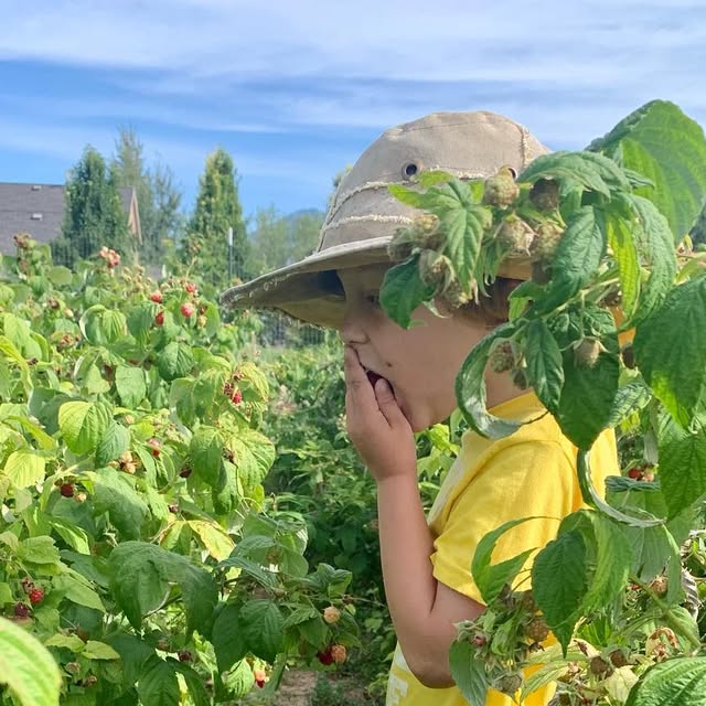 BeeMelissa's tweet card. Mel Pal (@palmermels) • Instagram photos and videos