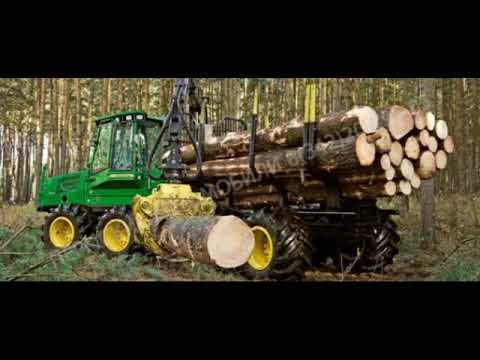 vimax10's tweet card. For investors willing to do forest business in Russia! Welcome to...