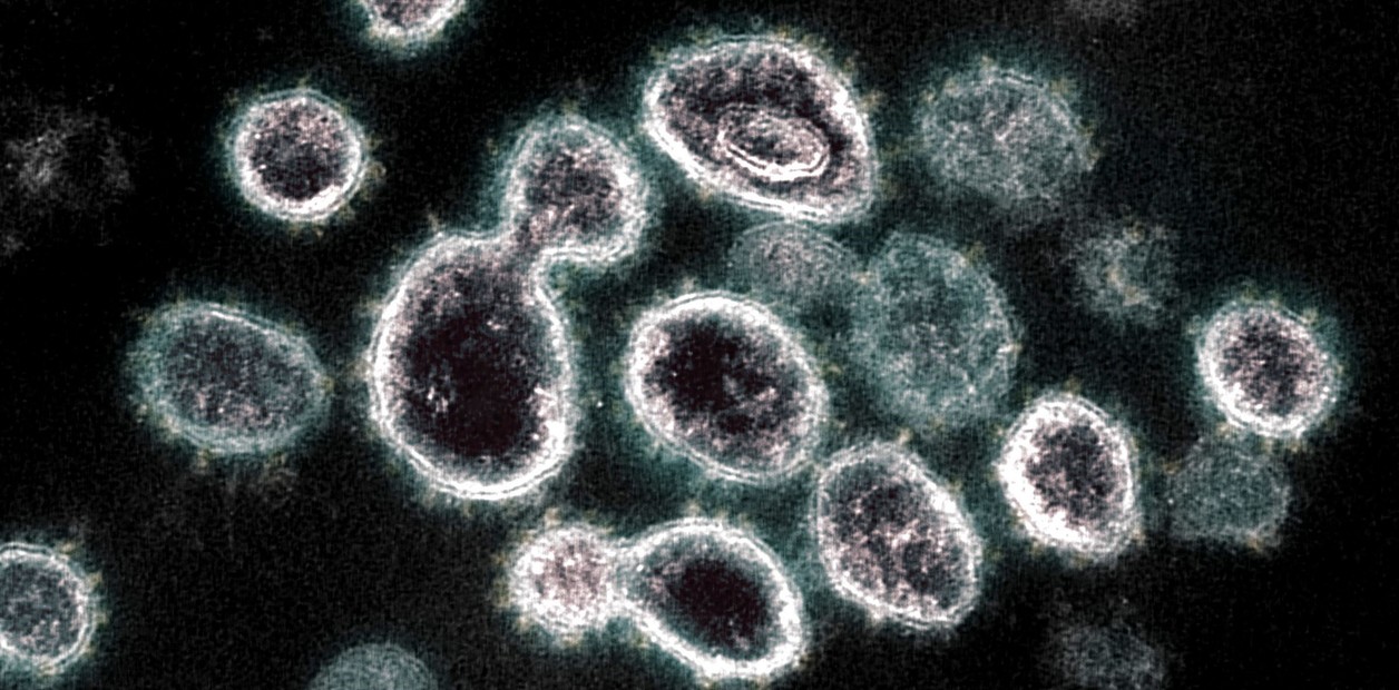 clarincom's tweet card. La OMS la sigue de cerca porque elude con más eficacia la inmunidad. Y hace subir los contagios. Los primeros casos se registraron en Capital y Córdoba.