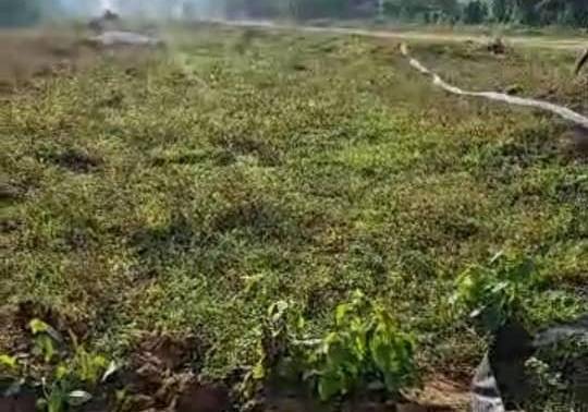 fisayosoyombo's tweet card. Investigative journalist ‘Fisayo Soyombo spent three months in 2024 embedding himself with illegal crude oil bunkerers.