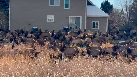 Image for twitter card