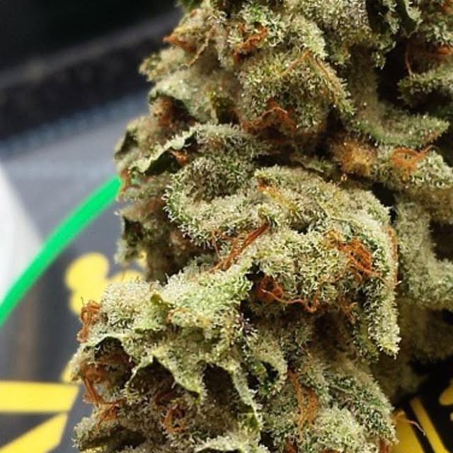 kindstack's tweet card. Kindstack.com (@kindstack) • Instagram photo