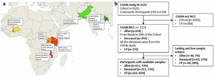 icddr_b's tweet card. Background Chronic exposure to aflatoxins is associated with liver cancer, impaired child growth, and compromised immune function. The Childhood Acute Illness and Nutrition (CHAIN) Network cohort was...