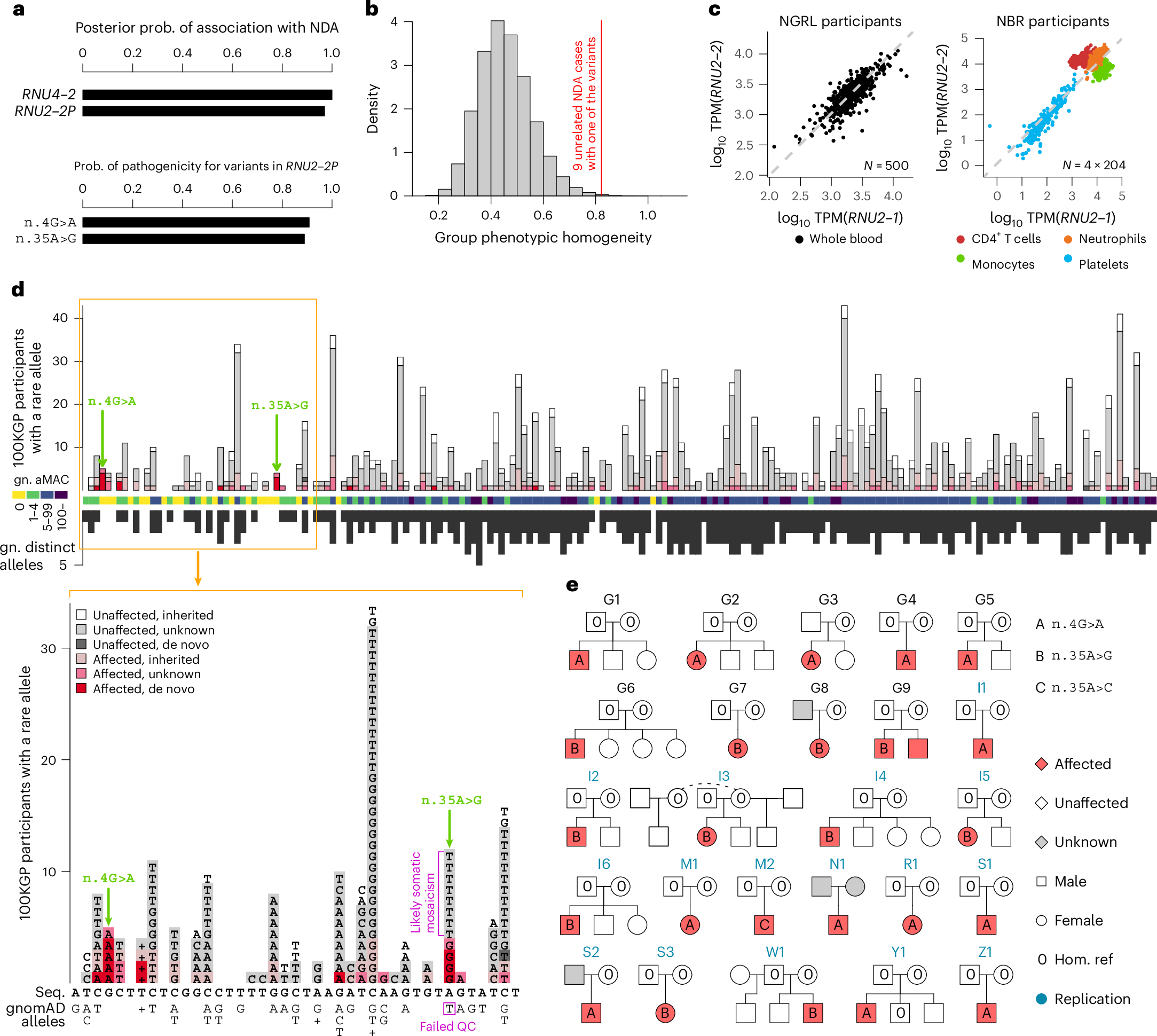 SinaiGenetics's tweet card. Nature Genetics - Recurrent de novo mutations at nucleotide positions 4 and 35 of RNU2-2 cause a neurodevelopmental disorder whose prominent features include intellectual disability, developmental...