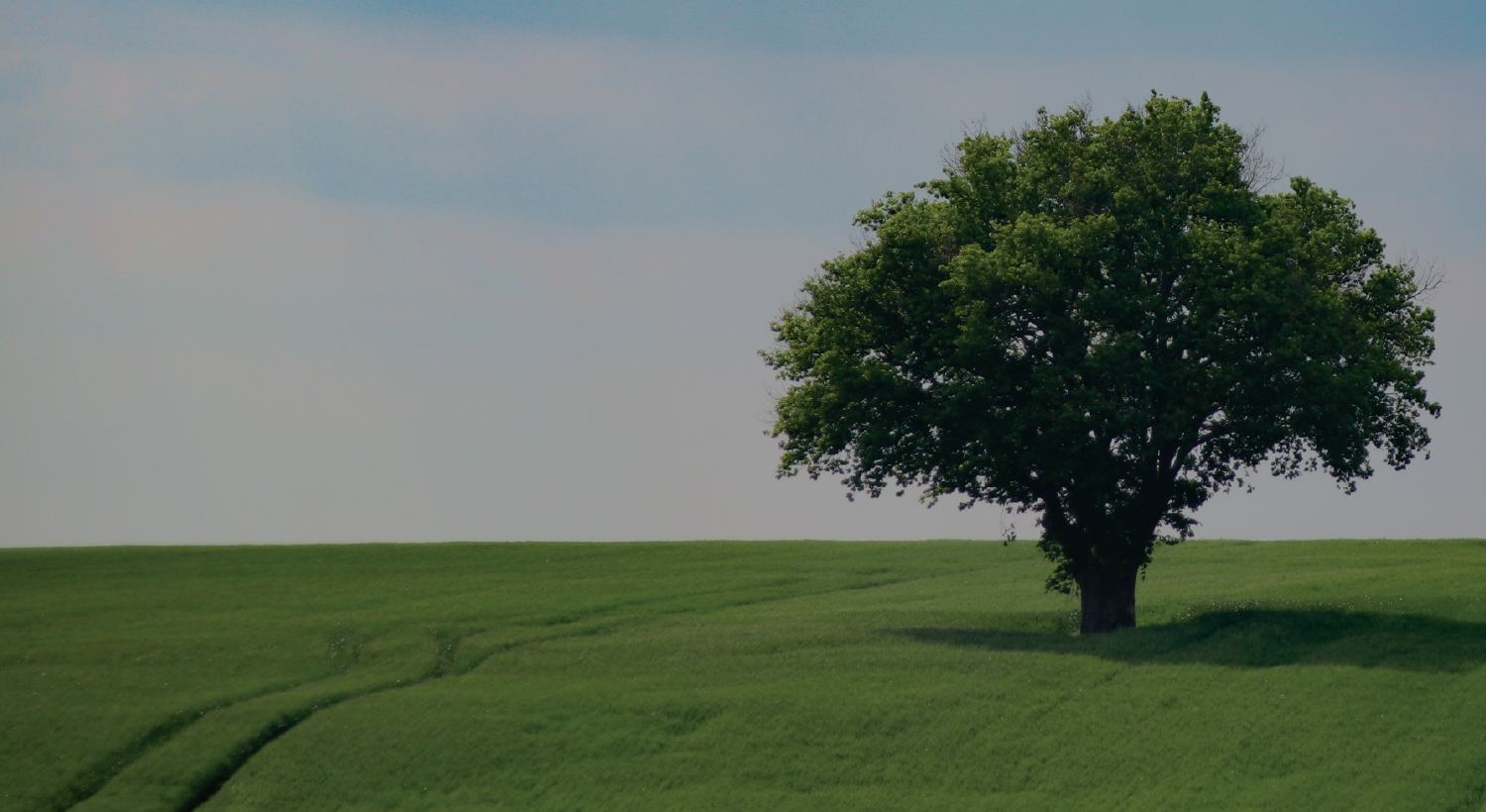 SQLClif's tweet card. Jesus came to win the battle against sin that humankind lost in the Garden of Eden.