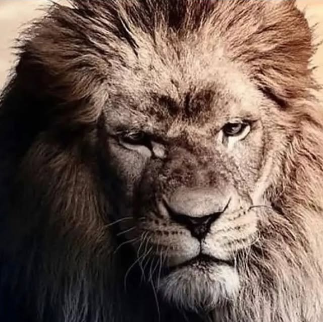 PhatDadProject's tweet card. Eric J Stratman (@phatdadproject) • Instagram photo