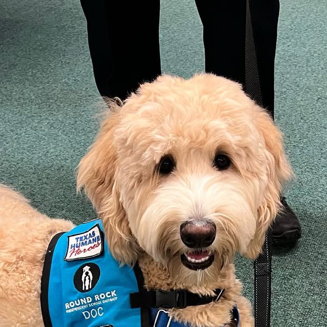 HernandezMSLib's tweet card. Hernandez MS Library (@hernandezlibrary) • Instagram photos and videos