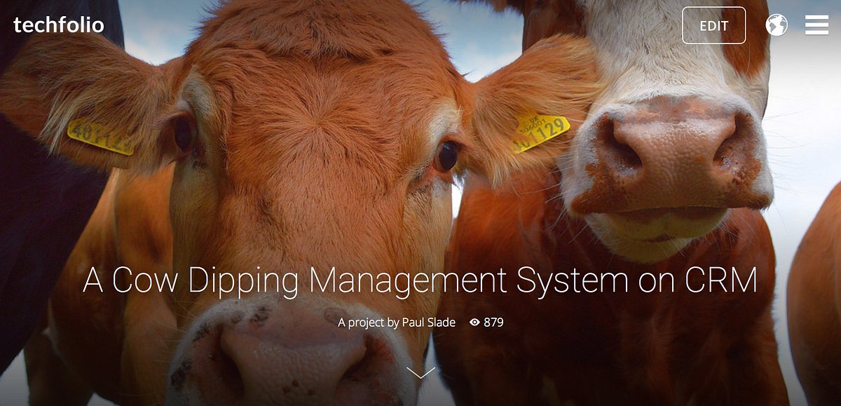 techfolio's tweet card. Tell your stories with intent.