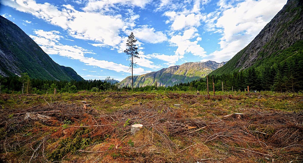 cpxlim's tweet card. Sustainable investing will become the rule and no longer the exception. But this transition comes amid a disquieting change in how we must view capital, production, and their attendant effects.