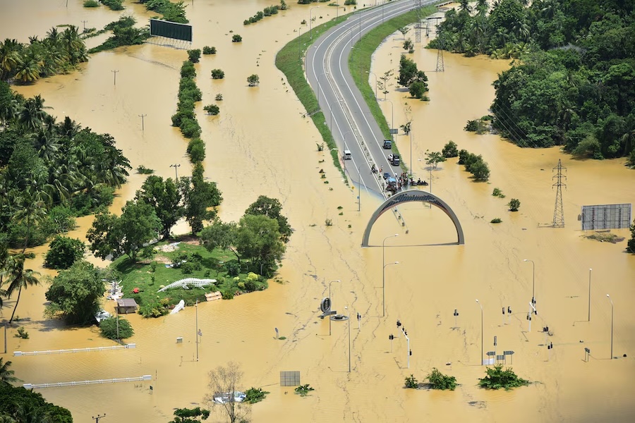 colombotelegrap's tweet card. […]