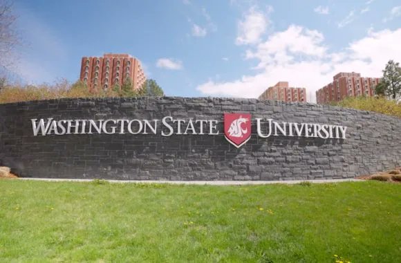 FalconBlog2's tweet card. Washington State University suspended a set of continuing medical education courses on gender medicine following pressure from transgender activists that prompted a formal review by the national…